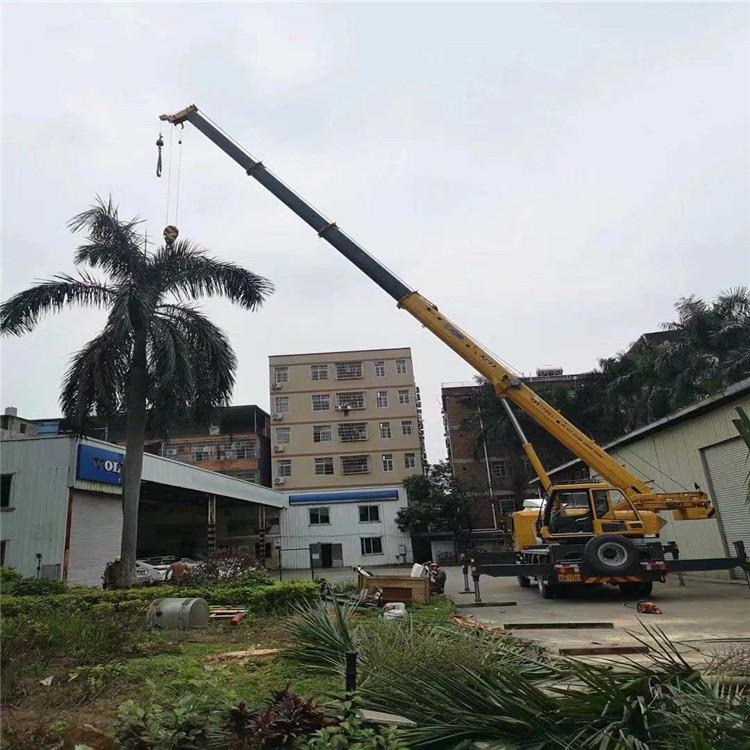 仁寿汽车吊出租多少钱？全面解析与市场行情